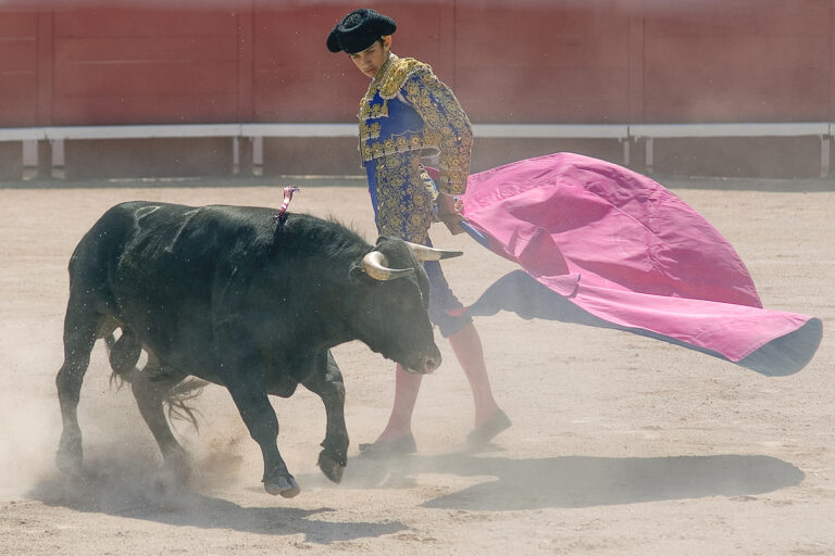 Eric Causse - Eric-CAUSSE-NovArles105